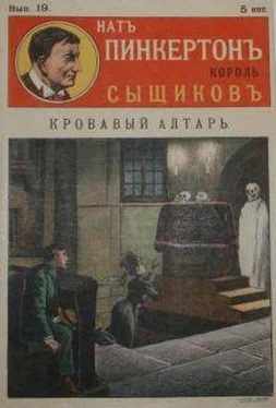 Издательство «Развлечение» Кровавый алтарь обложка книги