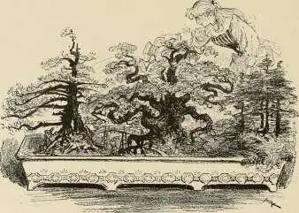 FORÊTS DAPPARTEMENT Il y avait naturellement très peu de jardins un simple - фото 116