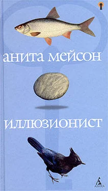 Анита Мейсон Иллюзионист обложка книги