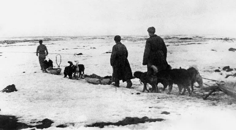 Санитары 31й армии Калининского фронта вывозят раненых с поля боя Начало 1942 - фото 19