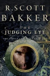 R. Bakker - The Judging eye
