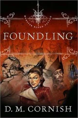 D Cornish - Foundling