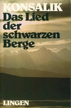 Хайнц Конзалик Das Lied der schwarzen Berge обложка книги