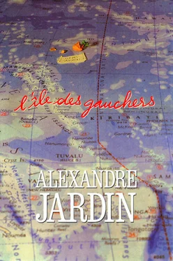 Alexandre Jardin L'île des gauchers обложка книги