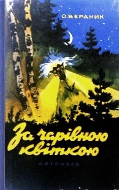 Олесь Бердник За чарівною квіткою обложка книги