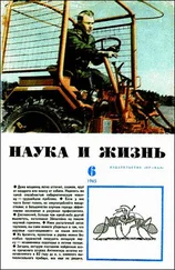 Гилберт Честертон - Три эссе