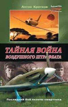 Антон Кротков Тайная война воздушного штрафбата обложка книги