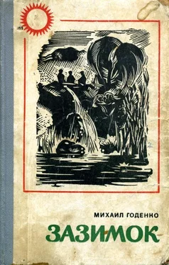 Михаил Годенко Зазимок обложка книги