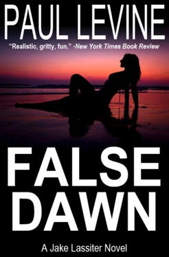 Paul Levine False Dawn обложка книги