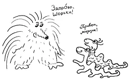 Карточка 2 Калуша с калушатами старухармса напушка сопритюкнулась и волит - фото 12