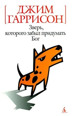 Джим Гаррисон Зверь, которого забыл придумать Бог обложка книги