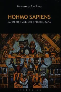 Владимир Глейзер Hohmo sapiens. Записки пьющего провинциала обложка книги