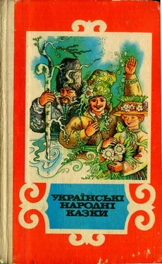 Народні Українські народні казки обложка книги