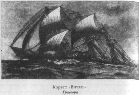 Путешествие корвета Витязь длилось 993 дня за это время он совершил - фото 36