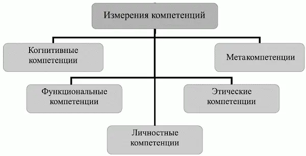 Рис 12 Интегративная модель профессиональной компетентности британская - фото 2