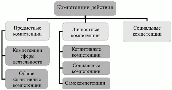 Рис 13 Немецкий подход компетенции действия Согласно принятой типологии в - фото 3