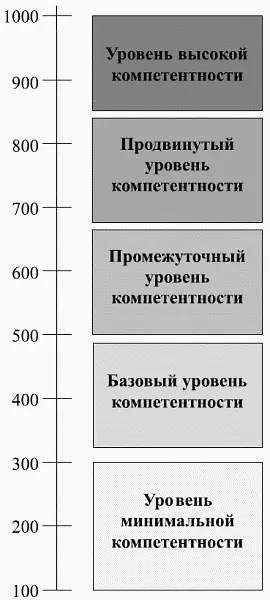 Рис 310 Уровневая компетентностная шкала Основные направления работ по - фото 41