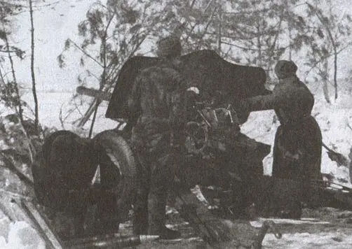 Советская артиллерия ведет огонь в районе с Недельное В подразделение - фото 3