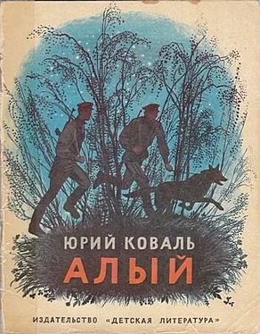Юрий Коваль Алый (Рассказы) обложка книги