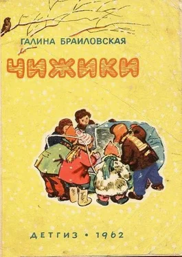 Галина Браиловская Чижики обложка книги