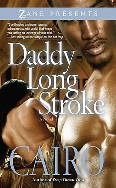 Cairo Daddy Long Stroke обложка книги