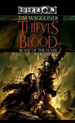Tim Waggoner - Thieves of Blood