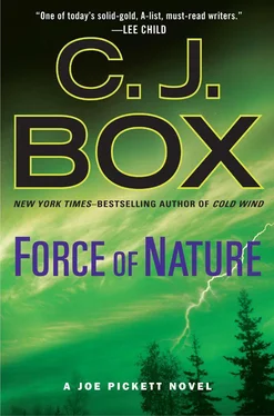 C. Box Force of Nature обложка книги