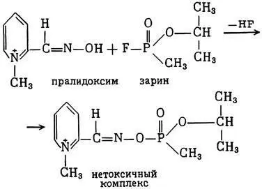 Такое действие оксимов неизмеримо возрастает в случае их профилактического - фото 24