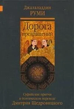 Джалаладдин Руми Дорога превращений. Суфийские притчи обложка книги