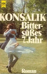 Хайнц Конзалик - Bittersusses 7. Jahr