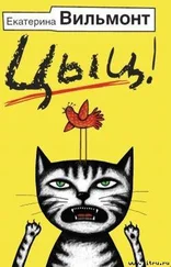 Екатерина Вильмонт - Цыц!