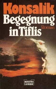 Хайнц Конзалик Begegnung in Tiflis обложка книги