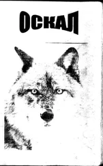 неизвестен Автор - Оскал