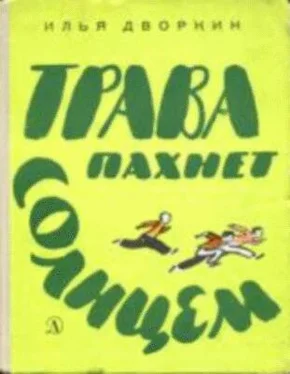 Илья Дворкин Трава пахнет солнцем обложка книги