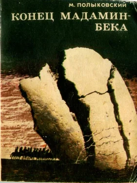 Марк Полыковский Конец Мадамин-бека (Записки о гражданской войне) обложка книги