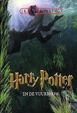 Joanne Rowling Harry Potter en de vuurbeker обложка книги