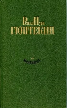 Решад Гюнтекин Мельница обложка книги