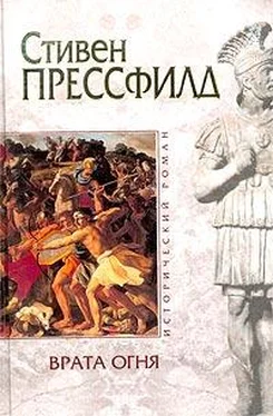 Стивен Прессфилд Врата огня обложка книги