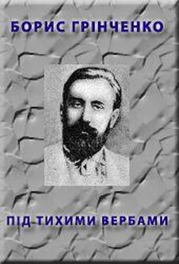 Борис Грінченко Пiд тихими вербами обложка книги