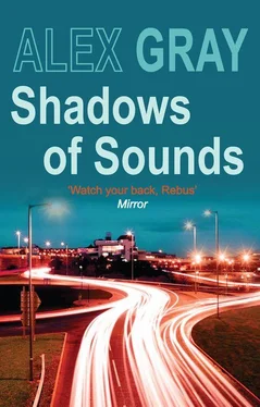 Alex Gray Shadows of Sounds обложка книги