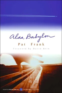 Harry Frank Alas, Babylon обложка книги