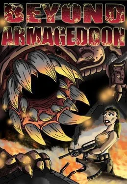 Anthony DeCosmo Disintegration обложка книги
