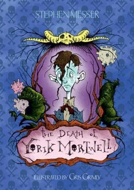 Stephen Messer The Death of Yorik Mortwell обложка книги