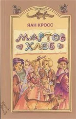 Яан Кросс - Мартов хлеб