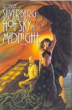 Robert Siverberg Hot Sky at Midnight обложка книги