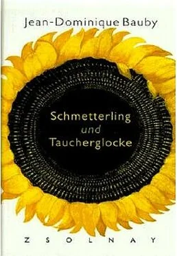 Jean-Dominique Bauby Schmetterling und Taucherglocke обложка книги