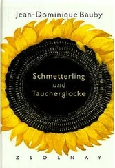 Jean-Dominique Bauby - Schmetterling und Taucherglocke
