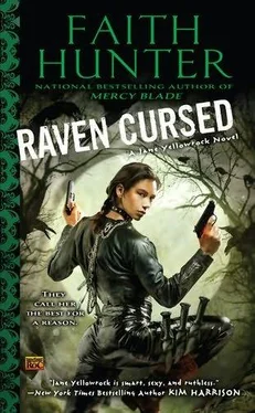 Faith Hunter Raven Cursed обложка книги