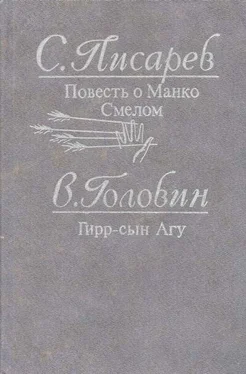 Владимир Головин Гирр — сын Агу обложка книги