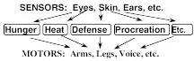 Then how could we build those instinctmachines Each of them needs three - фото 4